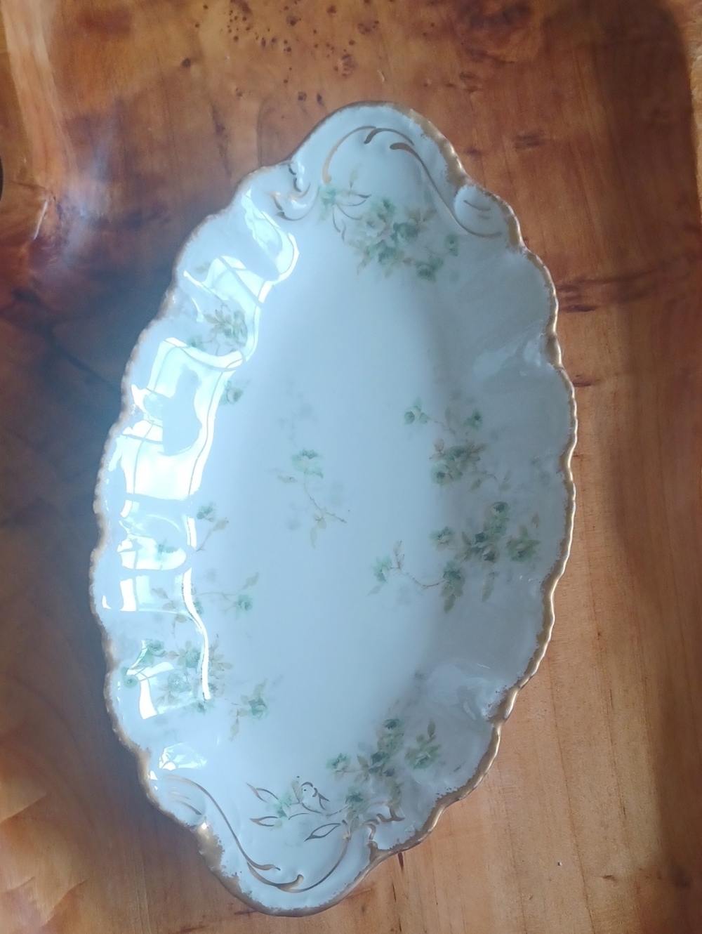 Antique Theodore Haviland Limoges France Porcelain Relish Dish - Green Floral